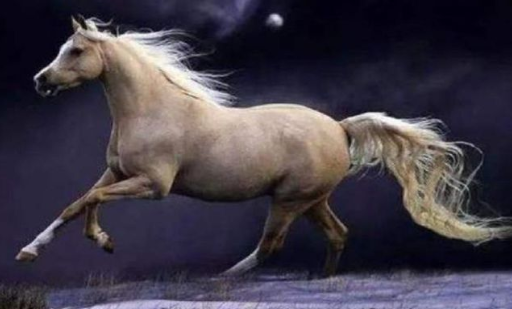 1631602483334941.png image.png