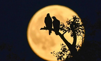 “超级月亮”在现代人看来,它的产生有哪两个关键点?