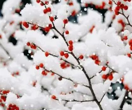 1632454415682573.png image.png