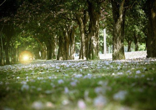 高适与李白曾是把酒言欢的挚友，最后为何分道扬镳？