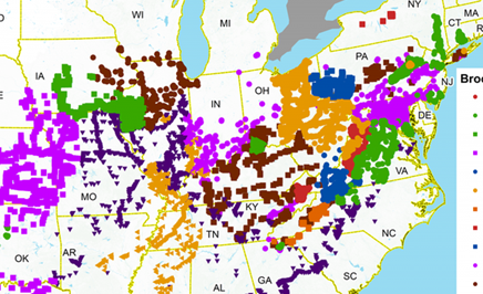 “17年蝉”除了美国之外,世界其他地方还有它们的存在吗?
