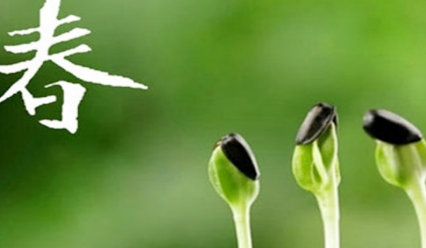 从二十四节气意义上来讲，中国的春季开始在哪个节气？