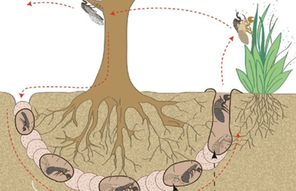 1621303310623014.png image.png