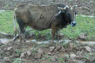 1646271756655679.png 图片.png