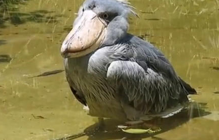 1623046170313568.png image.png