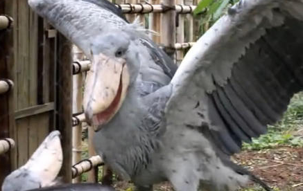 1623046156948413.png image.png